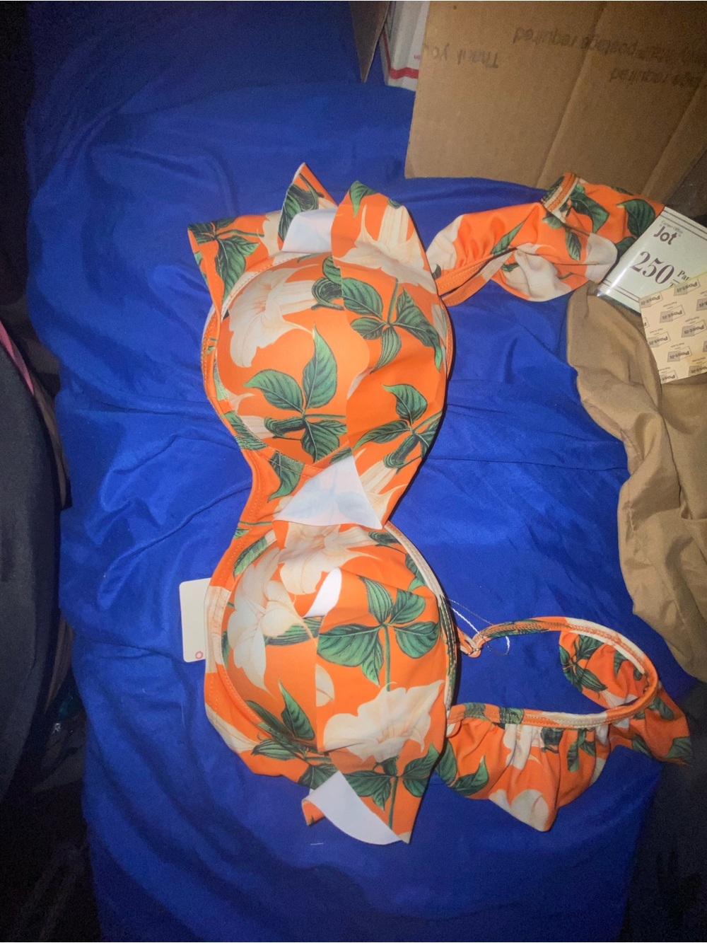 2 piece bikini with cover skirt